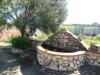 Villa in vendita con giardino a Montalto di Castro - 04, DSCN1275.JPG