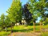 Casa indipendente in vendita con giardino a Monte San Pietro - 02, WhatsApp Image 2024-07-29 at 12.04.24 (3).jpeg