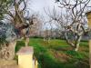 Villa in vendita con giardino a Gallipoli - 09, WhatsApp Image 2025-01-25 at 09.56.46.jpeg