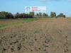 Terreno Agricolo in vendita a Campiglia Marittima - 07