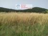 Terreno Agricolo in vendita classe A4 a Montieri - 08
