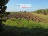 Terreno Agricolo in vendita a Piombino - 03