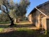 Casa indipendente in vendita a Sermoneta - 10, rudere con terreno sermoneta (2).jpeg