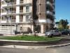 Appartamento bilocale in vendita con posto auto scoperto a Latina - 03, aiuola.JPG
