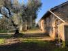 Casa indipendente in vendita a Cisterna di Latina - 09, rudere con terreno sermoneta (2).jpeg