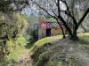 Rustico in vendita da ristrutturare a Borgo a Mozzano - 04, Foto 4