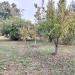 Villa in vendita con giardino a Arqu� Polesine - 03, IMG20261017091606.jpg