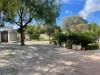 Villa in vendita con giardino a Leporano - 05, Immagine WhatsApp 2024-10-09 ore 11.08.27_9101017c