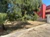 Villa in vendita con giardino a Lizzano - 10, Immagine WhatsApp 2025-04-11 ore 18.27.15_75e0ffdd