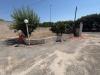 Villa in vendita con giardino a Pulsano - 03, WhatsApp Image 2026-06-22 at 17.25.14 (1).jpeg