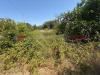 Villa in vendita con giardino a Pulsano - 06, WhatsApp Image 2026-06-22 at 17.25.15 (5).jpeg