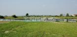Terreno Agricolo in vendita a Cascina - san giorgio - 02