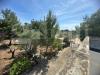 Villa in vendita con giardino a Bari - 09, 05.jpeg