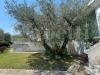 Villa in vendita con giardino a Bari - 02, 2.jpeg