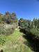 Casa indipendente in vendita con giardino a Zumaglia - 07, image18.jpeg
