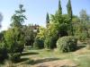 Villa in vendita con giardino a Santa Maria della Versa - 04, SMV luglio 08 008.jpg