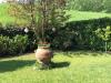 Rustico in vendita con giardino a San Zenone al Po - 04, IMG_3582.JPG