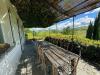 Villa in vendita con giardino a Montecalvo Versiggia - 04, Immagine WhatsApp 2024-05-03 ore 16.07.31_3b773d54