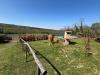 Villa in vendita con giardino a Rivanazzano - 05, Immagine WhatsApp 2025-04-26 ore 08.07.35_3706133a