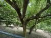 Casa indipendente in vendita con giardino a Pietra de' Giorgi - 08, 73a972f7-4316-46e8-a341-c4df39da41a3.jpeg