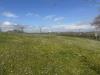 Villa in vendita con giardino a Ziano Piacentino - 08, 476606462_2029405407526126_6521067683007308201_n.j