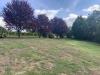 Villa in vendita con giardino a Pietra de' Giorgi - 05, 120825471_613173972683671_4406064400745480775_n.jp