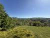 Villa in vendita con giardino a Colli Verdi - 06, 6396818c-1003-492f-a8a5-61868014d021.jpeg