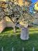 Villa in vendita con giardino a Santa Maria della Versa - 04, 333.jpeg
