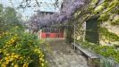 Rustico in vendita con giardino a Pietra de' Giorgi - 04, Immagine WhatsApp 2025-04-30 ore 11.11.52_93dae83c