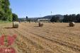 Terreno Agricolo in vendita a Todi - 03, TE107 Pontenaia Terreno_11.jpg