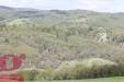 Rustico in vendita con giardino a San Venanzo - 03, FC121 Umbria azienda agricola casale uliveto fotov