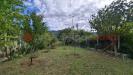 Terreno Agricolo in vendita a Castel San Giorgio - 04, 556023612_122214416570278930_870672944698747480_n.