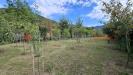 Terreno Agricolo in vendita a Castel San Giorgio - 05, 556030809_122214416270278930_3610198894621611153_n