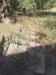 Terreno Agricolo in vendita a Castel San Giorgio - 05, 25000 Via paterno 3.jpg