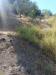 Terreno Agricolo in vendita a Castel San Giorgio - 06, 31ae15e9-6499-4b86-ae40-103fa2749172.jpg