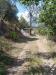 Terreno Agricolo in vendita a Castel San Giorgio - 07, 47633067-a255-4690-8b3b-f421231814b5.jpg