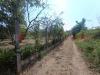 Terreno Agricolo in vendita a Castel San Giorgio - 02, 11605029-29e5-4395-ae10-5507d6b43993.jpg