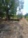 Terreno Agricolo in vendita a Castel San Giorgio - 06, 441bcea1-c0eb-487b-9b66-a5a29397d863.jpg