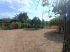 Terreno Agricolo in vendita a Castel San Giorgio - 08, 5738c82e-7ca2-4d40-a40f-a3dce4f5f46e.jpg