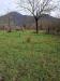 Terreno Agricolo in vendita a Castel San Giorgio - 05, photo_23_2026-09-16_11-25-50.jpg