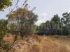 Terreno Agricolo in vendita a Galatone - 05, 20230831_113955_risultato.jpg