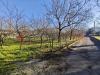 Terreno Agricolo in vendita a Mercato San Severino - 03, WhatsApp Image 2026-01-27 at 08.57.29.jpeg