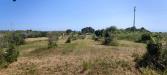 Terreno Agricolo in vendita a Uggiano La Chiesa - 06, IMG-20230530-WA0004.jpg