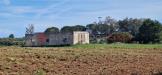 Terreno Agricolo in vendita a Otranto - 03, IMG-20240329-WA0016.jpg
