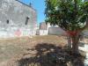 Casa indipendente in vendita da ristrutturare a Uggiano La Chiesa - 03, Immagine WhatsApp 2025-07-30 ore 10.41.12_77b50873