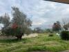 Appartamento in vendita con giardino a Cassino - 05, WhatsApp Image 2025-04-15 at 16.20.57 (2).jpeg
