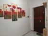 Appartamento in affitto a Cassino - 02, WhatsApp Image 2026-05-07 at 09.32.05.jpeg
