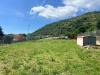 Terreno Agricolo in affitto a Cassino - 06, WhatsApp Image 2026-06-05 at 16.39.30.jpeg