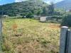Terreno Agricolo in affitto a Cassino - 08, WhatsApp Image 2026-06-05 at 16.39.53 (2).jpeg