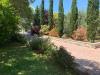 Villa in affitto con giardino a Pietrasanta - 05